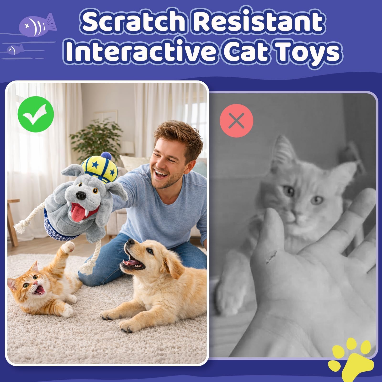 YoPoll cat teaser during indoor play keeps kittens engaged.