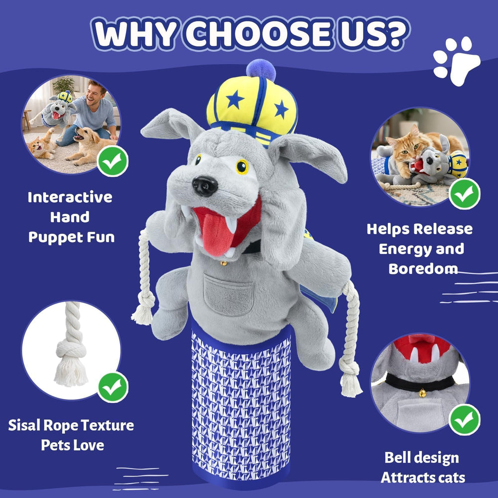YoPoll sumo wrestler hand puppet guides safe, energetic kitten play.