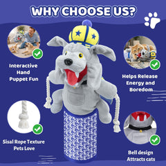 YoPoll sumo wrestler hand puppet guides safe, energetic kitten play.