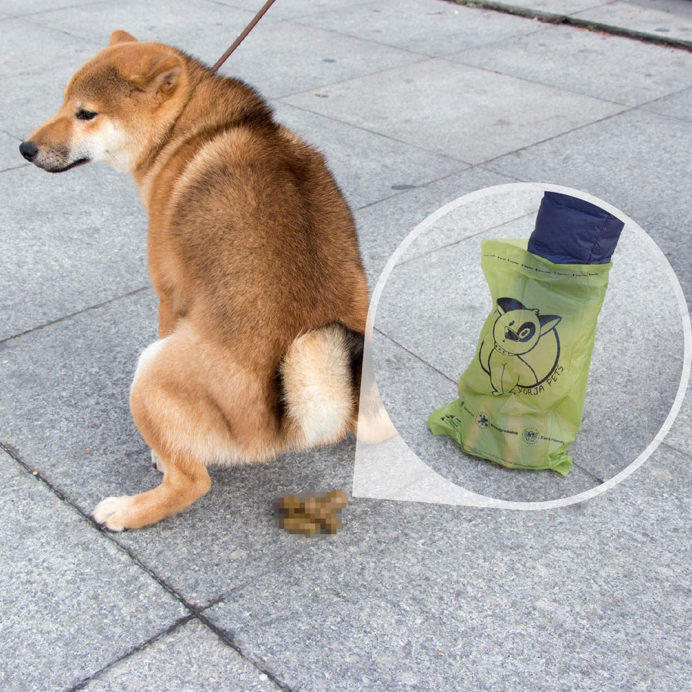 YORJA refill rolls fit standard dispensers for convenient outdoor use.