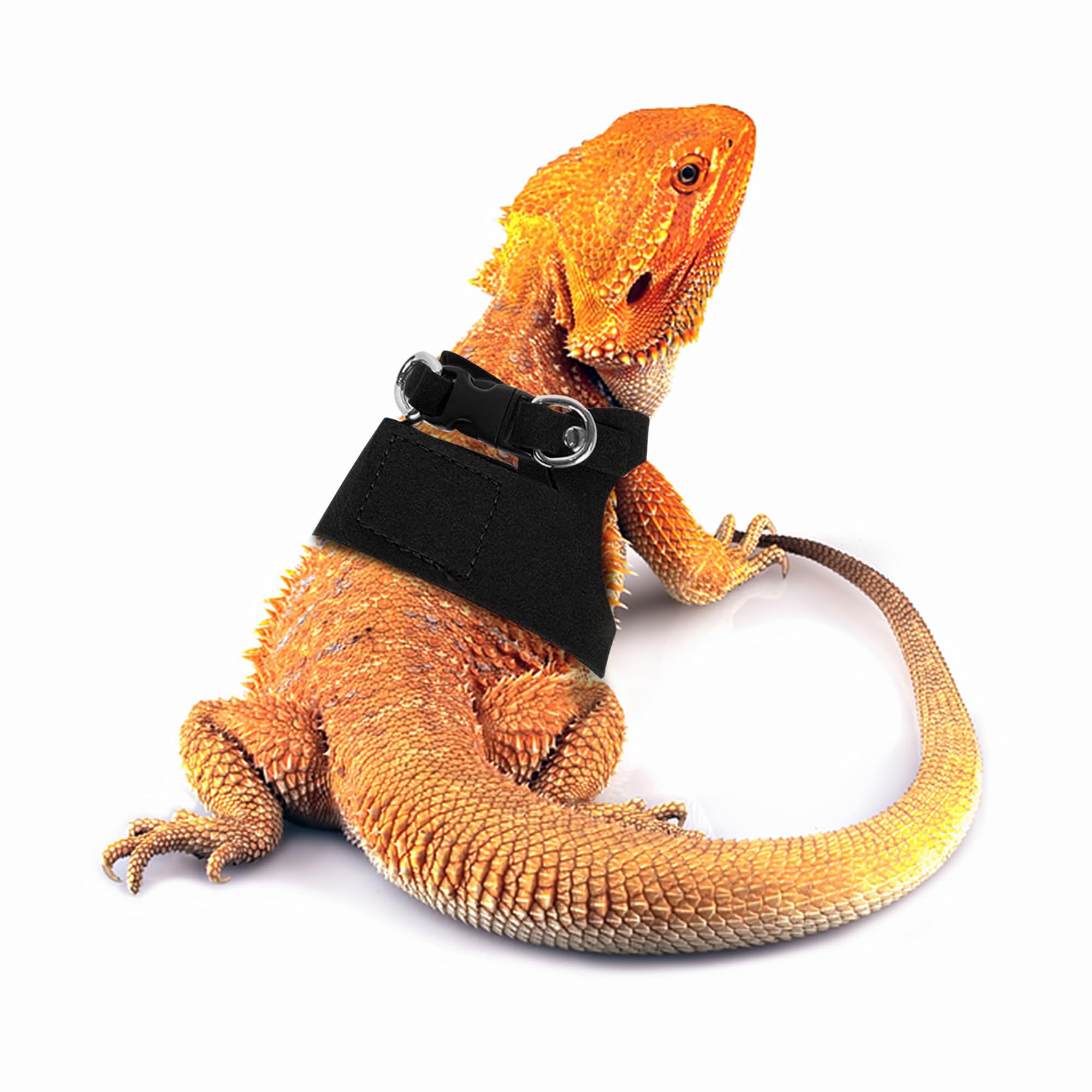 Yosadol Bearded Dragon Harness Batwing design for secure, stylish walking.