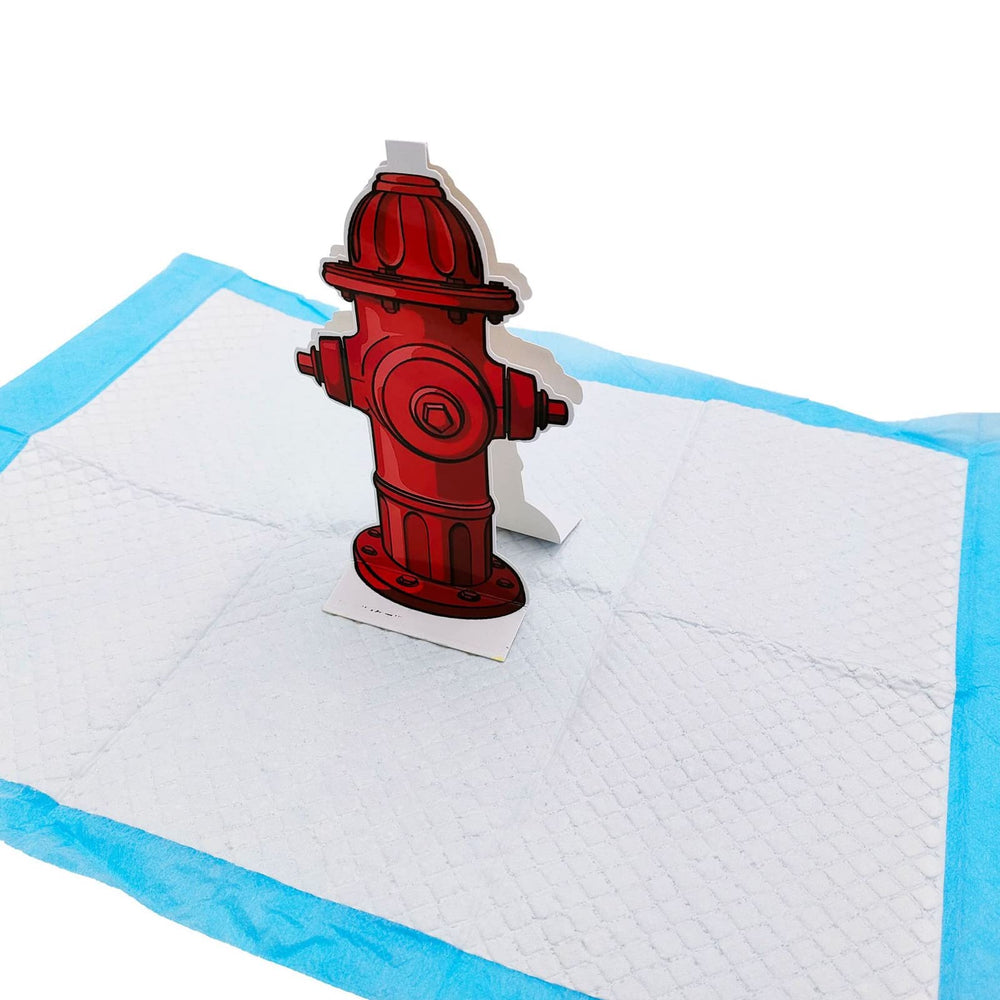 Home training with Yosoo Health Gear hydrant guide for puppies and small dogs.
