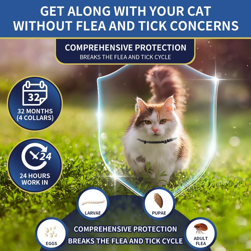 YOTANGO 8-month protection collar on display shows extended prevention in a single purchase.