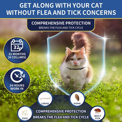 YOTANGO 8-month protection collar on display shows extended prevention in a single purchase.