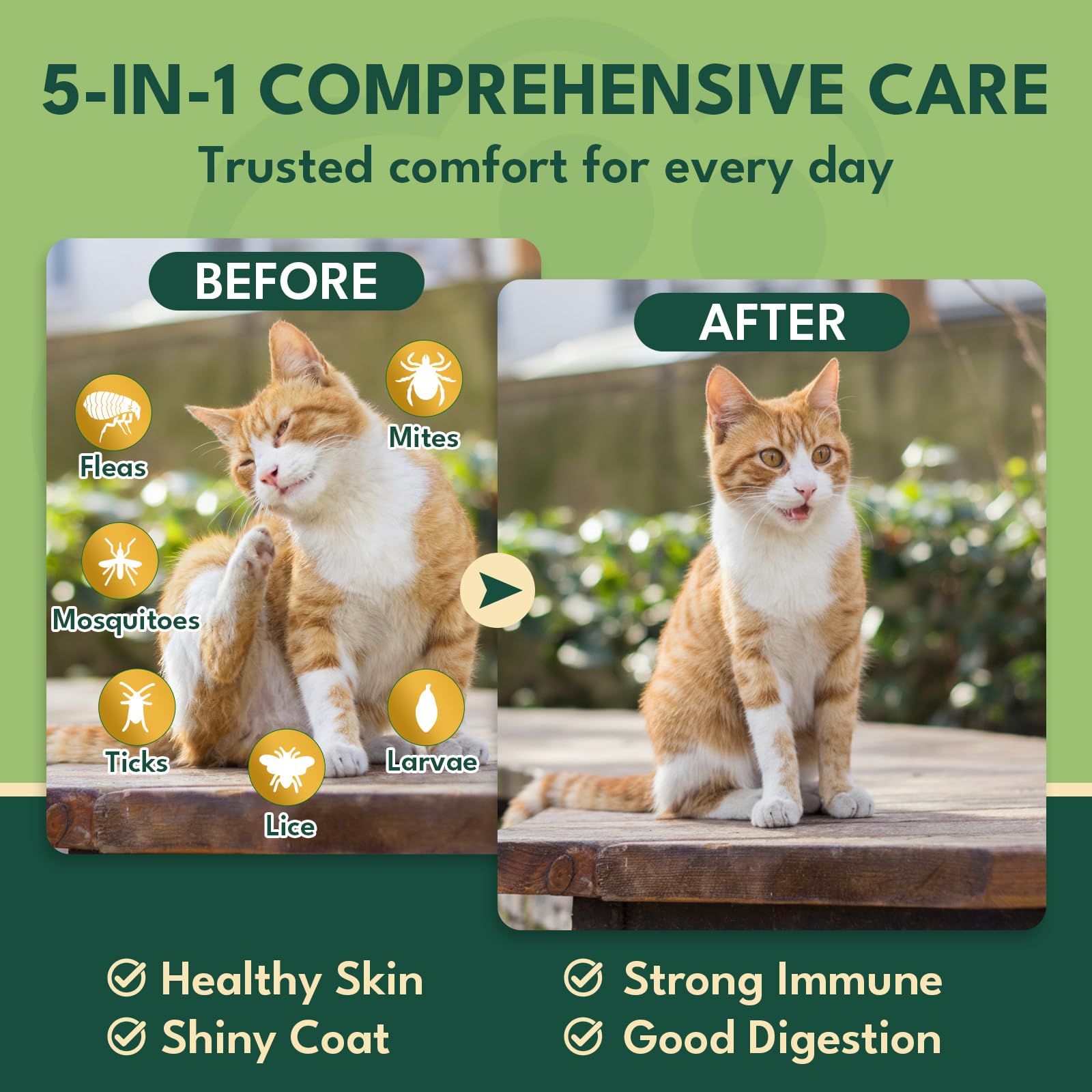 YOTANGO flea chews promote a shiny coat and healthy skin.