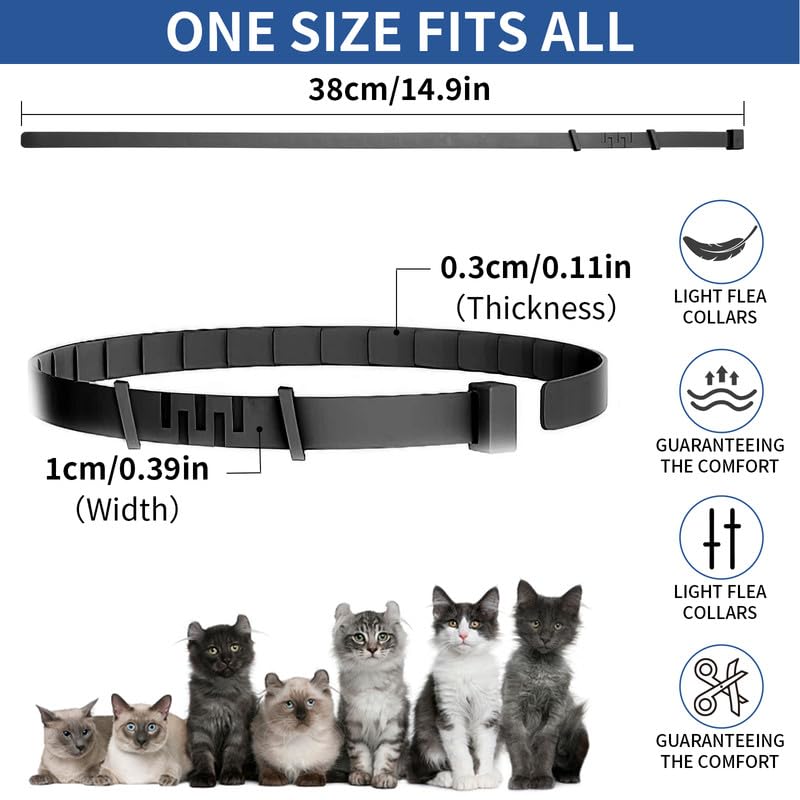 Waterproof feature lets cats wear the collar through rain, baths, and outdoor adventures.