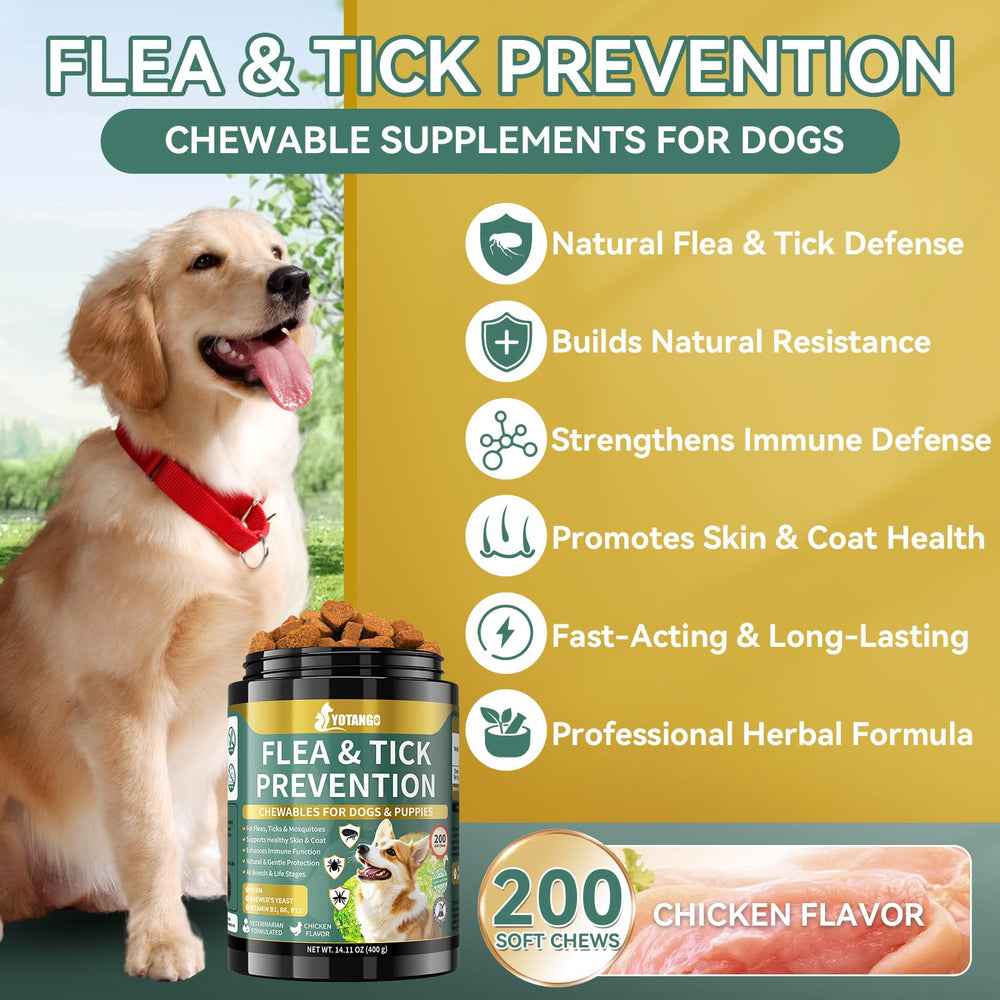 YOTANGO chicken flavor soft chews for dogs.