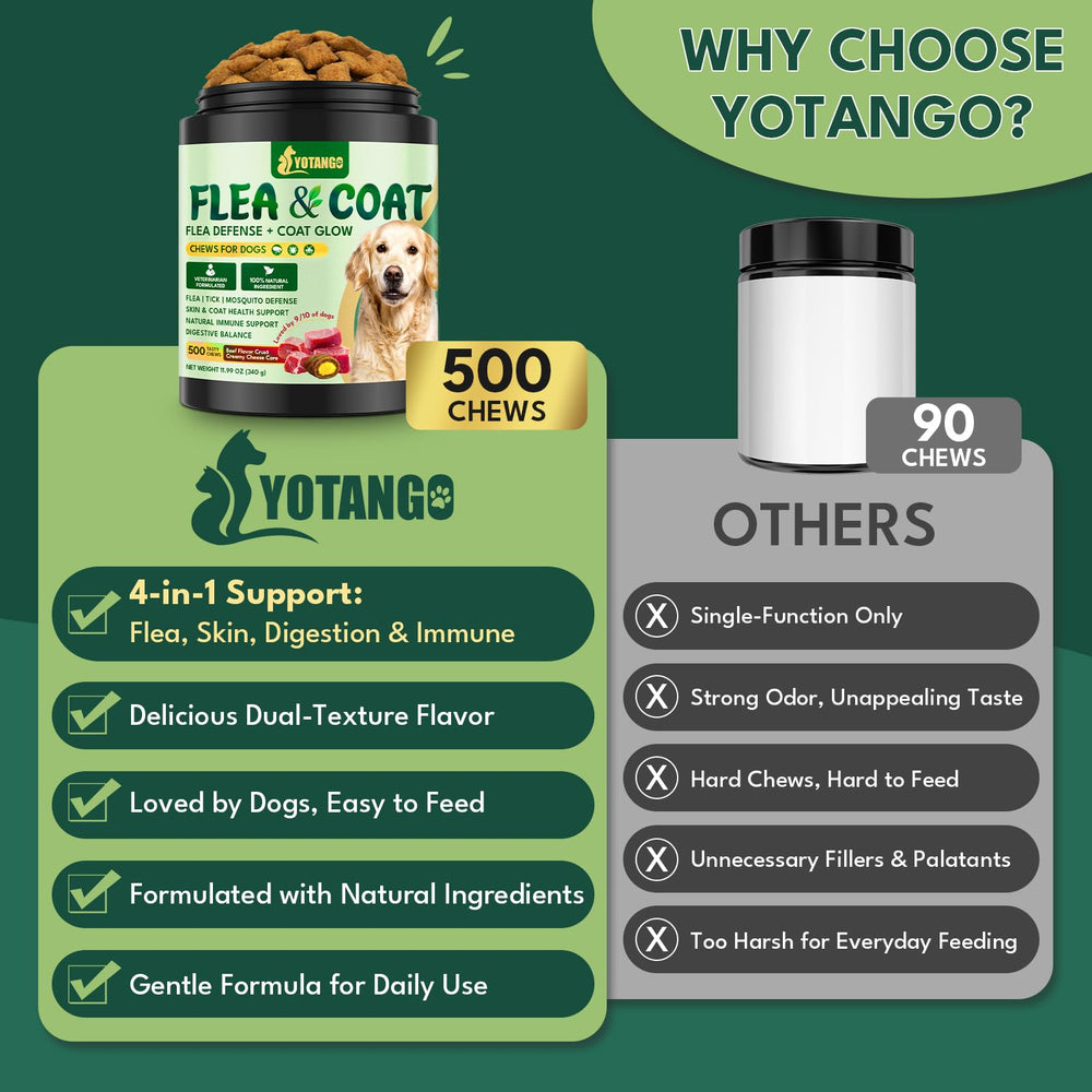 YOTANGO puppy and adult dog ready for daily chew as part of routine.