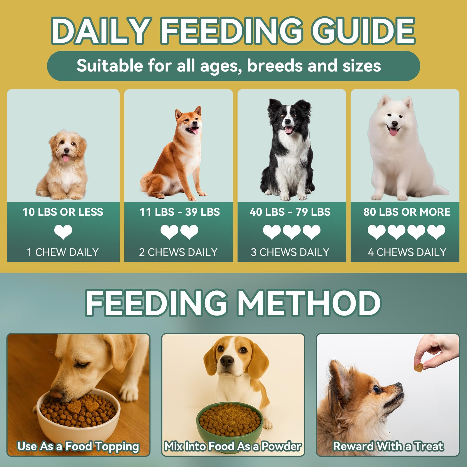 Dog-friendly YOTANGO supplement supporting skin and coat.