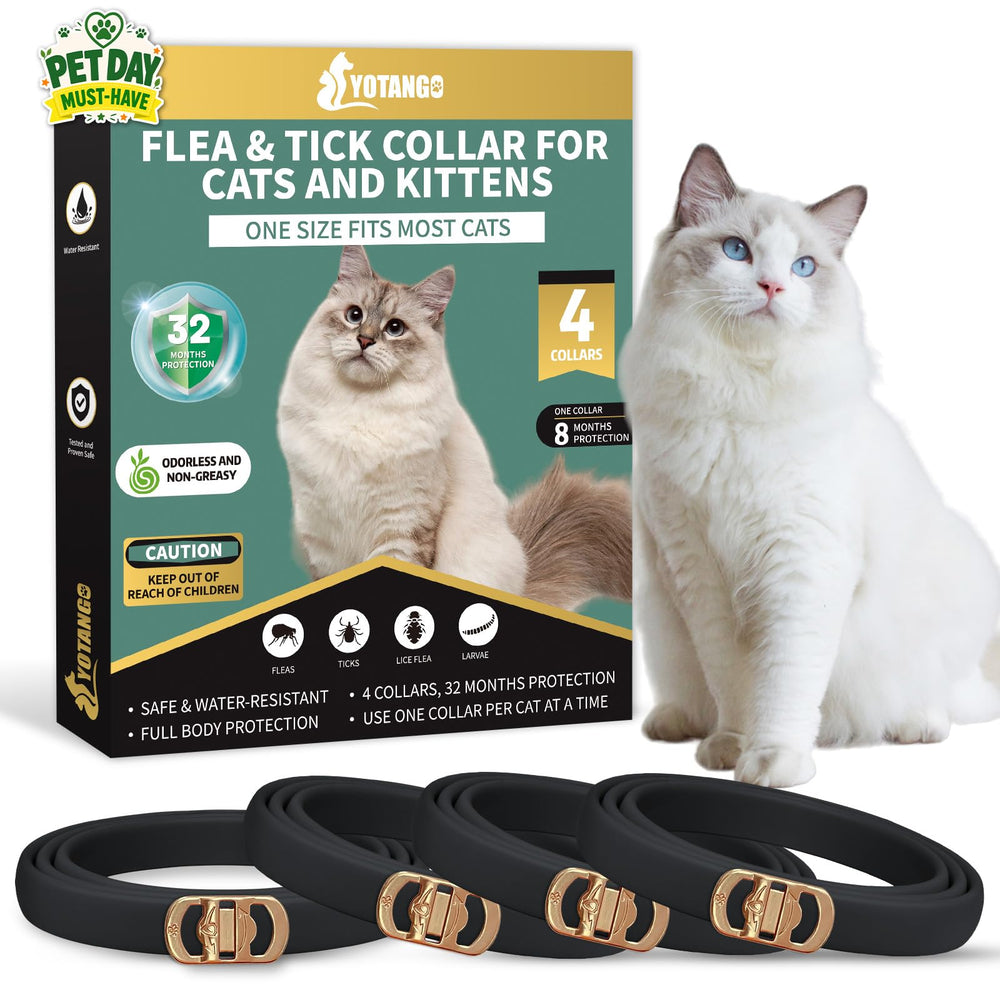 YOTANGO 4-pack packaging shows multi-cat protection in a single bundle.
