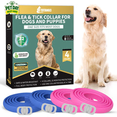 YOTANGO four-pack flea collar for dogs in blue and pink, extended protection.