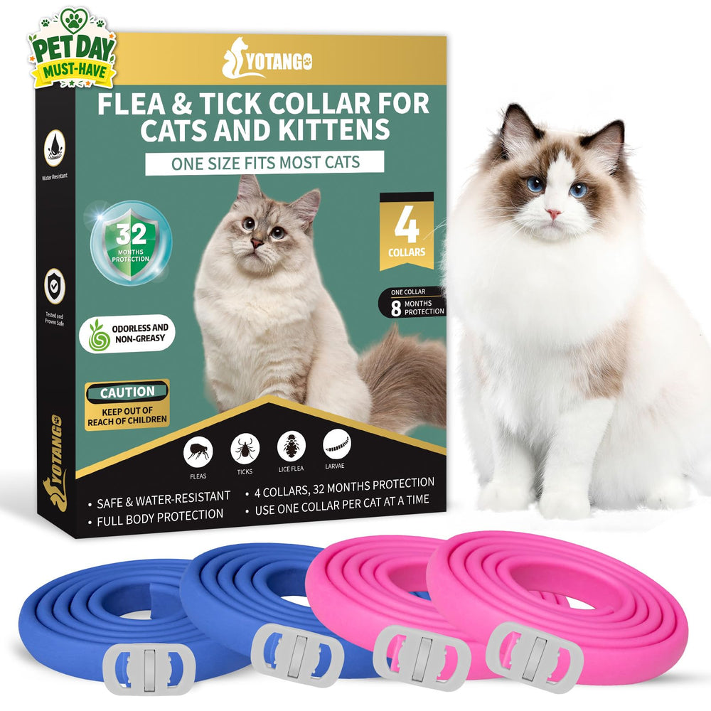 YOTANGO four-pack flea collar on a cat neck with blue and pink colors for adjustable fit