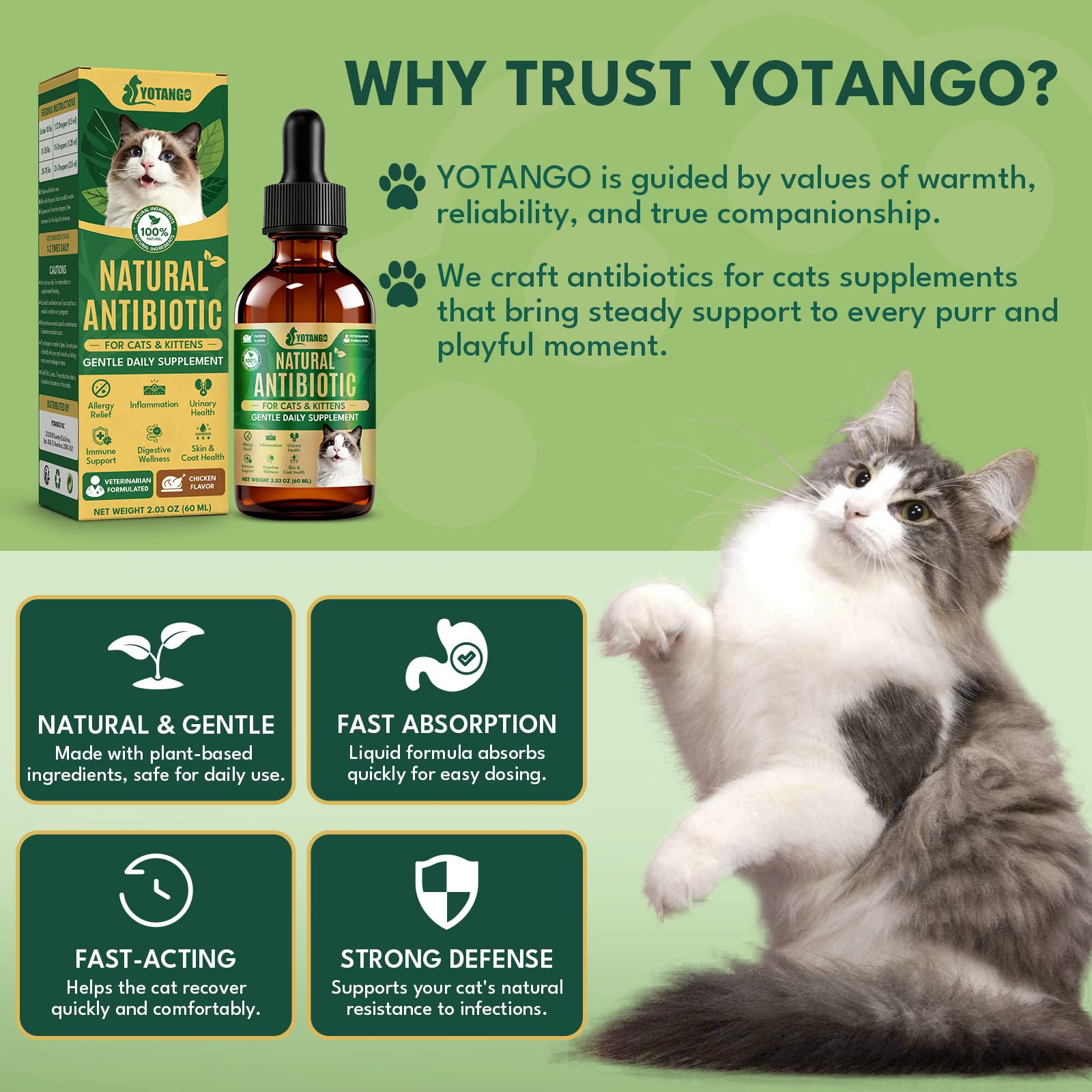 YOTANGO ingredients panel featuring cranberry, thyme, and echinacea.