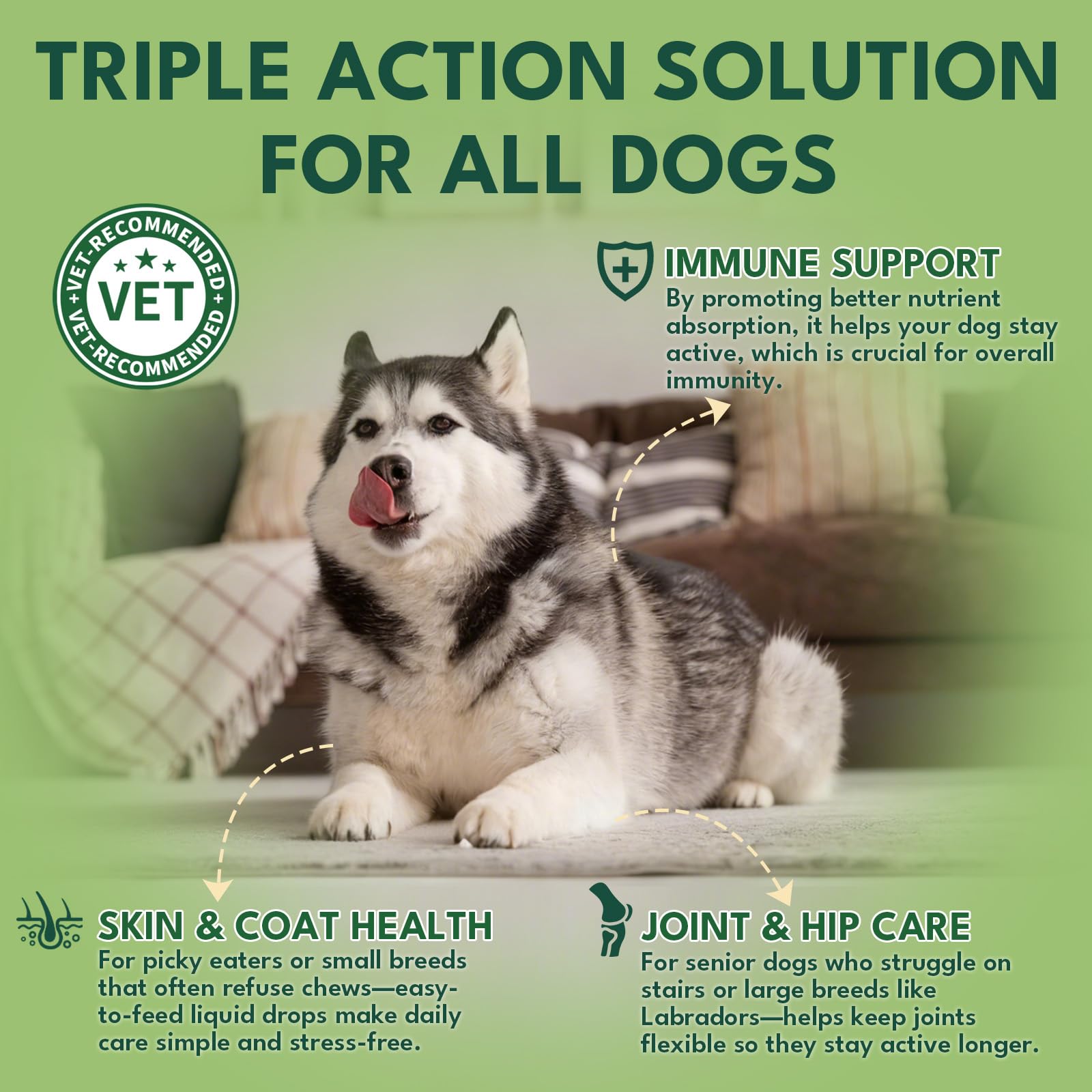 YOTANGO dog collagen dropper showing precise dosing for consistent daily use