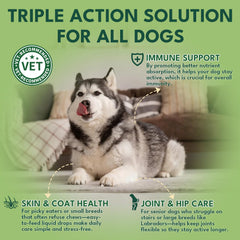 YOTANGO dog collagen dropper showing precise dosing for consistent daily use
