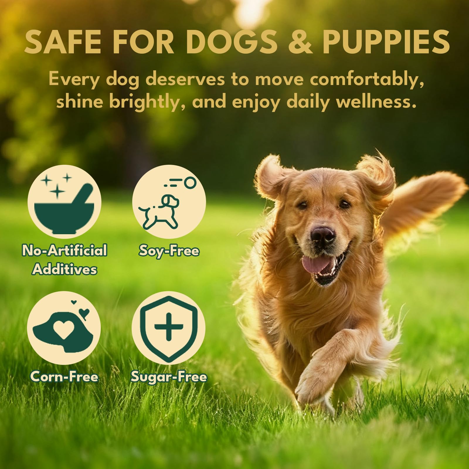 YOTANGO liquid collagen supports joints and mobility for aging dogs