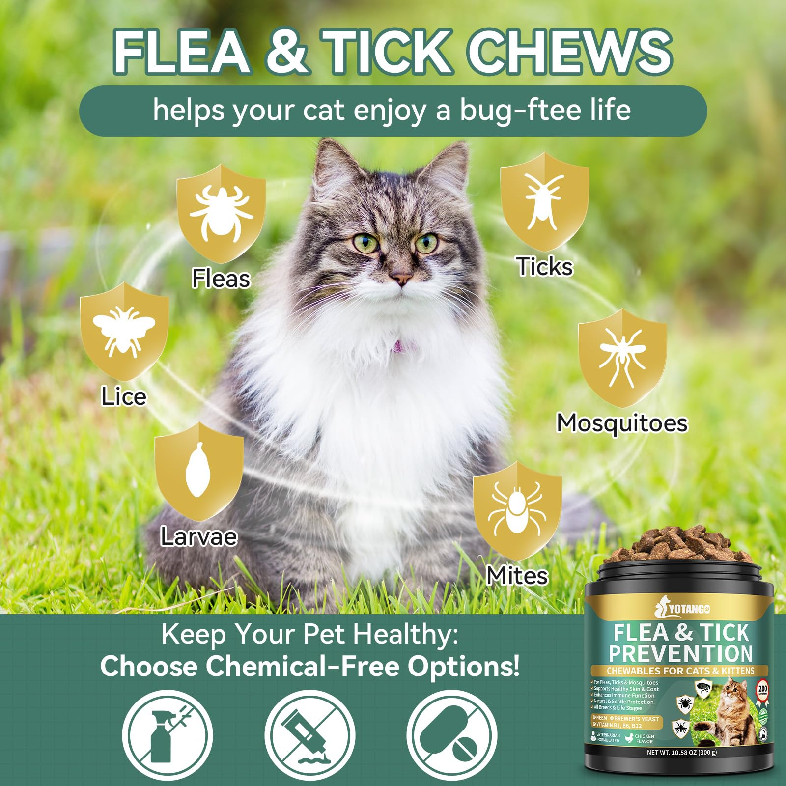 YOTANGO natural ingredients like coconut oil support daily feline wellness