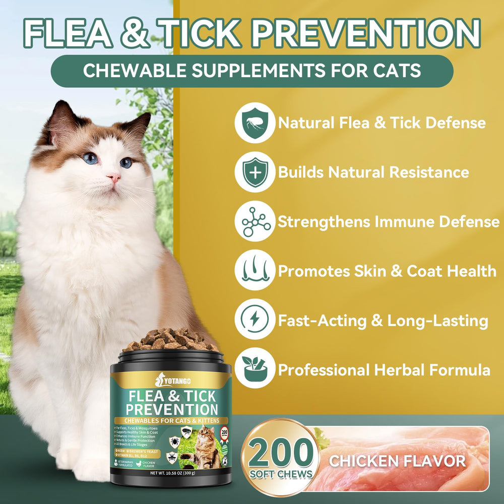 YOTANGO soft chicken-flavor chews: tasty, easy-to-administer flea prevention for cats