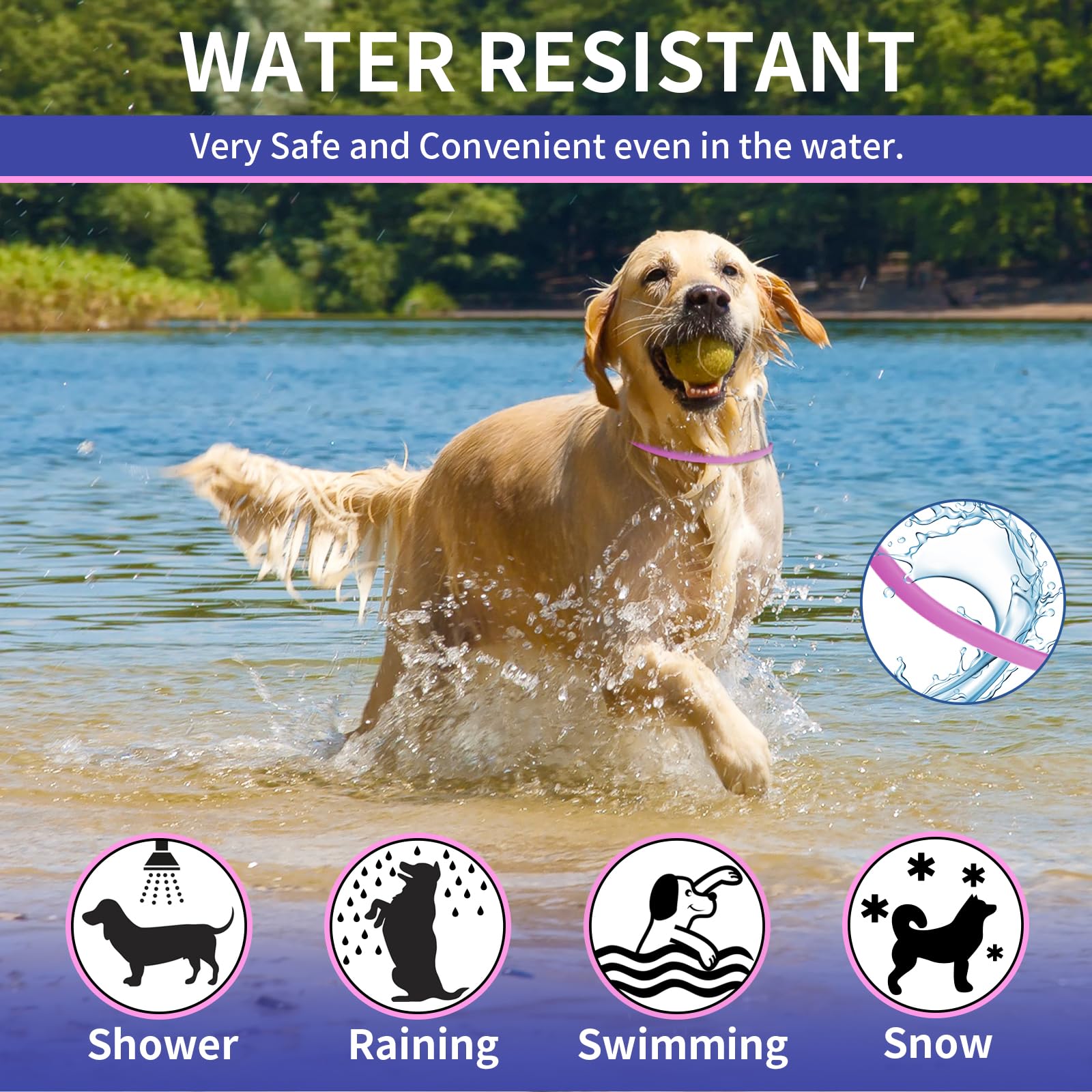 YOTANGO soft, lightweight collar comfortable during daily wear.