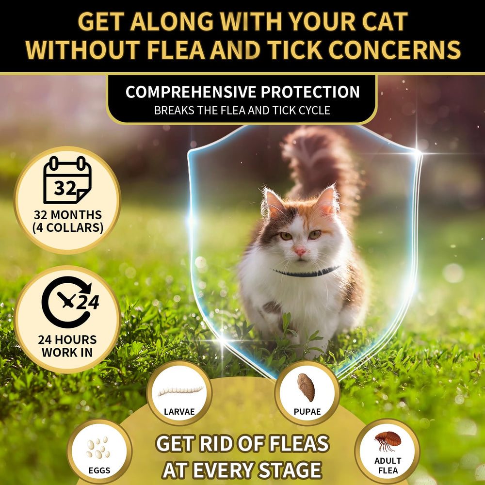 YOTANGO waterproof cat flea collar ready for rain or baths.