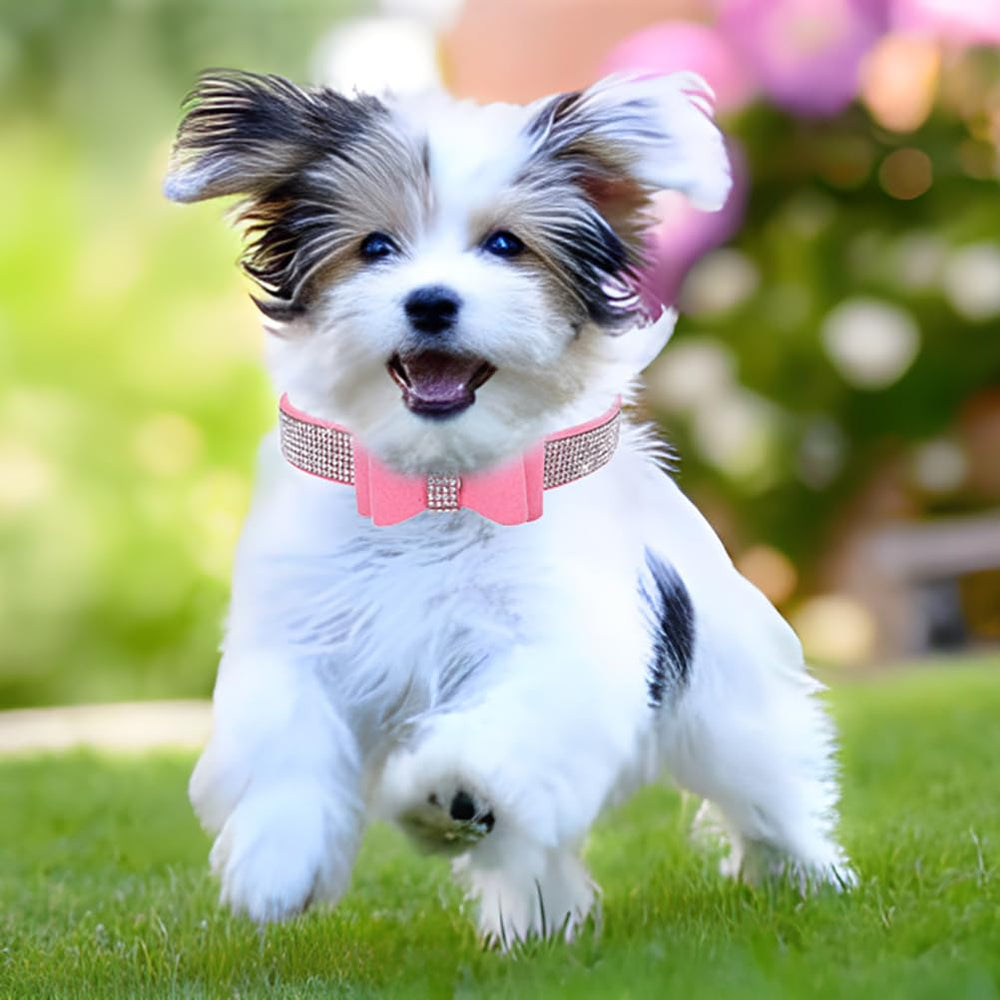 YOUALSO pink leash with subtle bling for secure outings