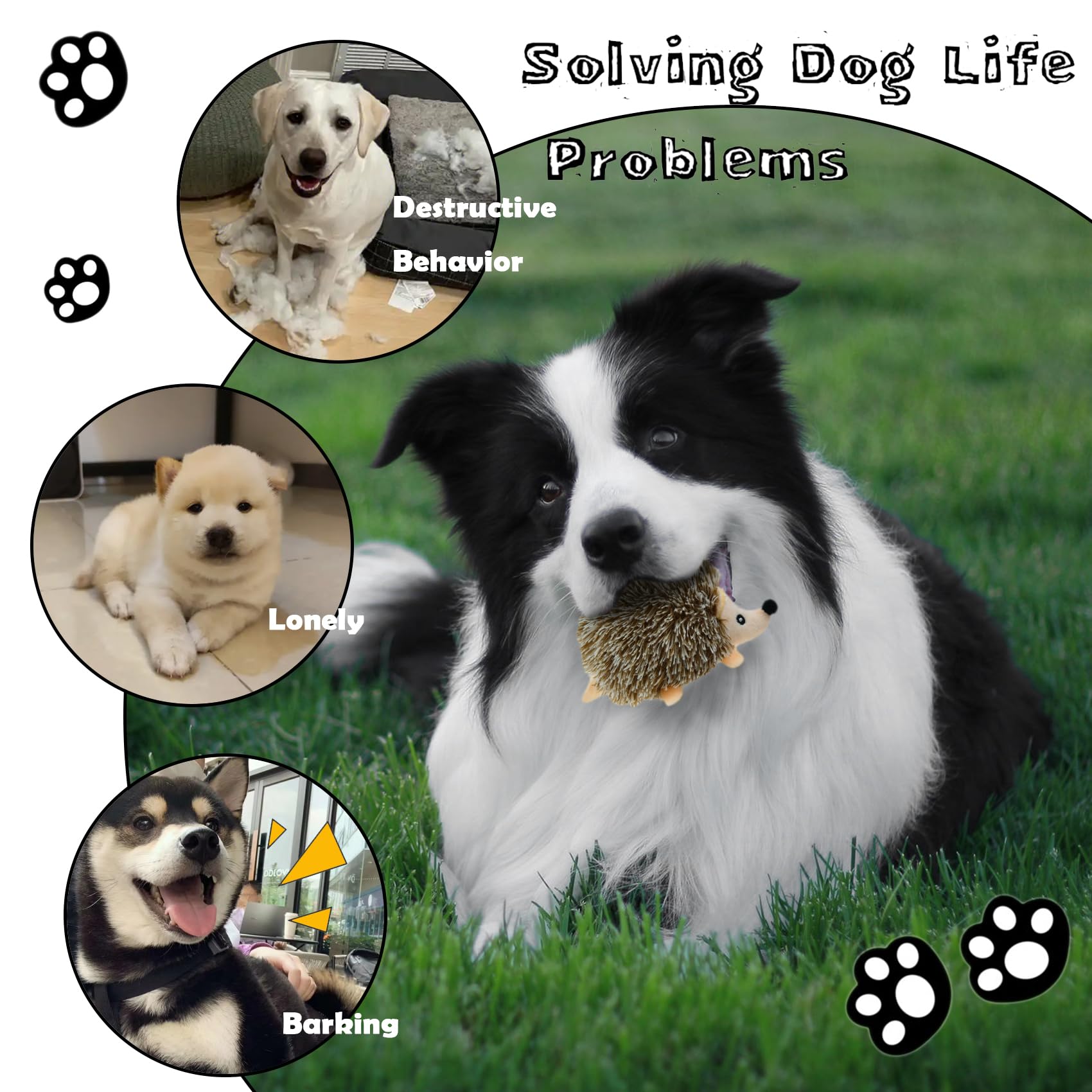 YOUBEMAGIC built in squeaker in raccoon toy maintains dog interest.