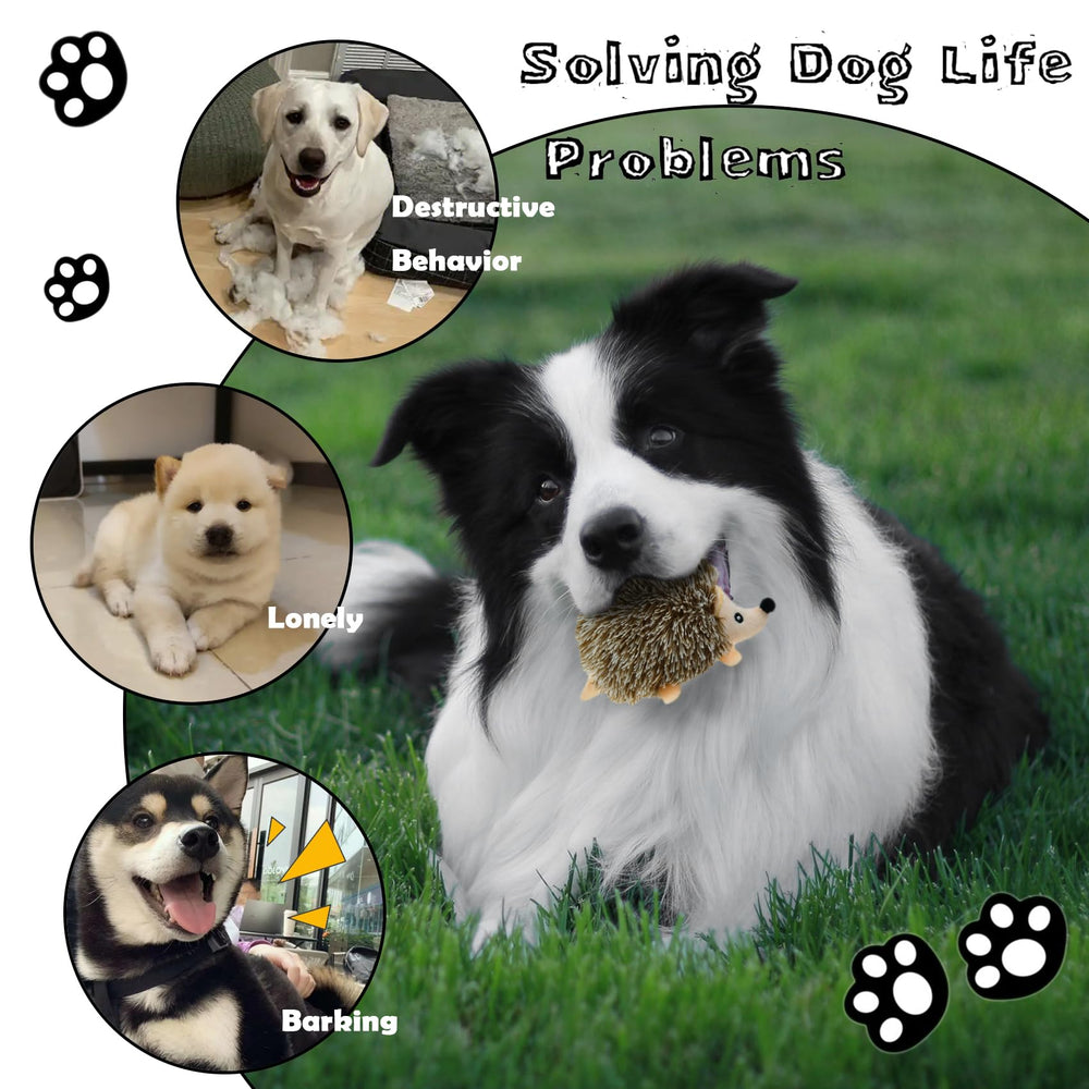 YOUBEMAGIC built in squeaker in raccoon toy maintains dog interest.