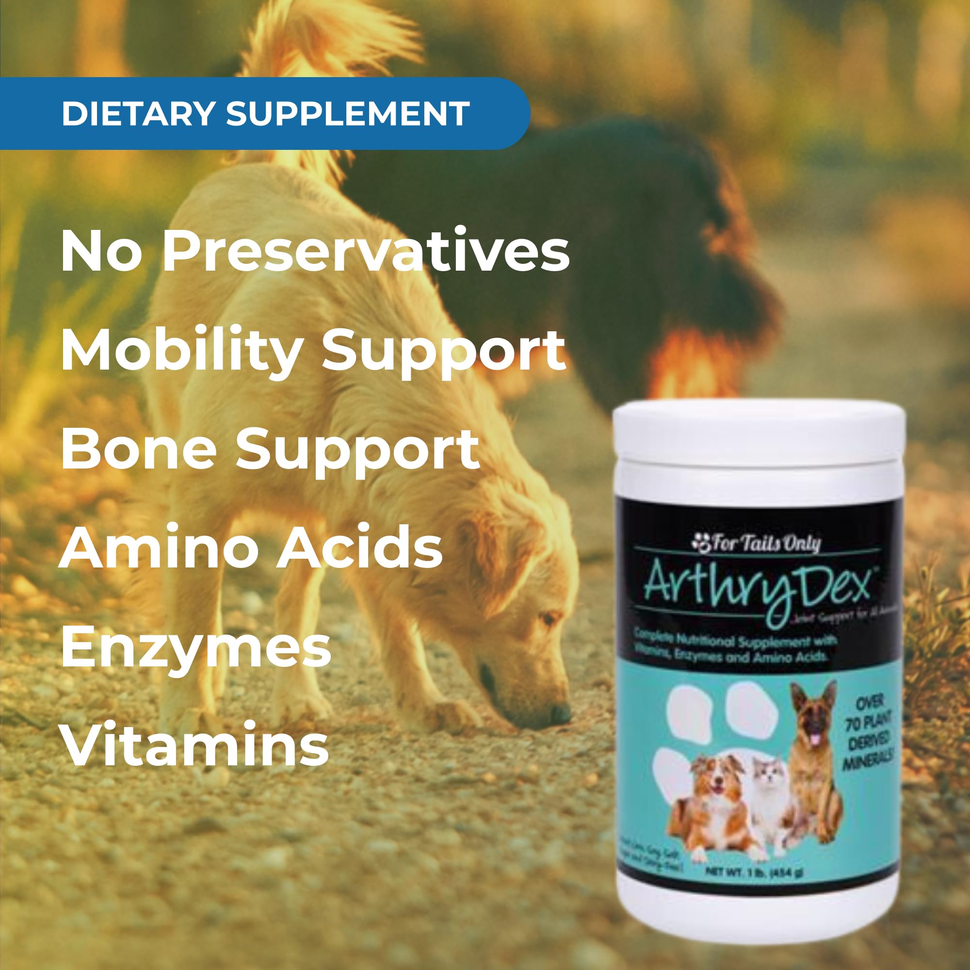 Youngevity Arthrydex Complete powder jar ready for daily use.