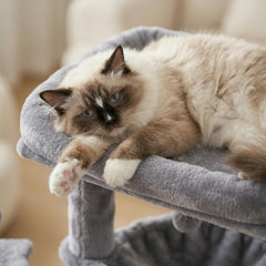 YOUPETSER cat tree toy balls invite interactive play and mental stimulation.
