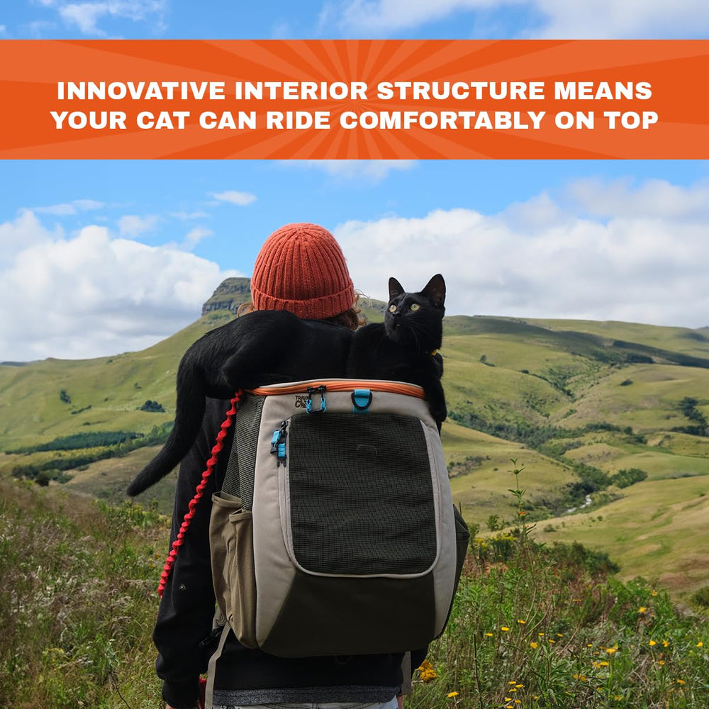 Your Cat Backpack Navigator top window open for quick pet checks and airflow