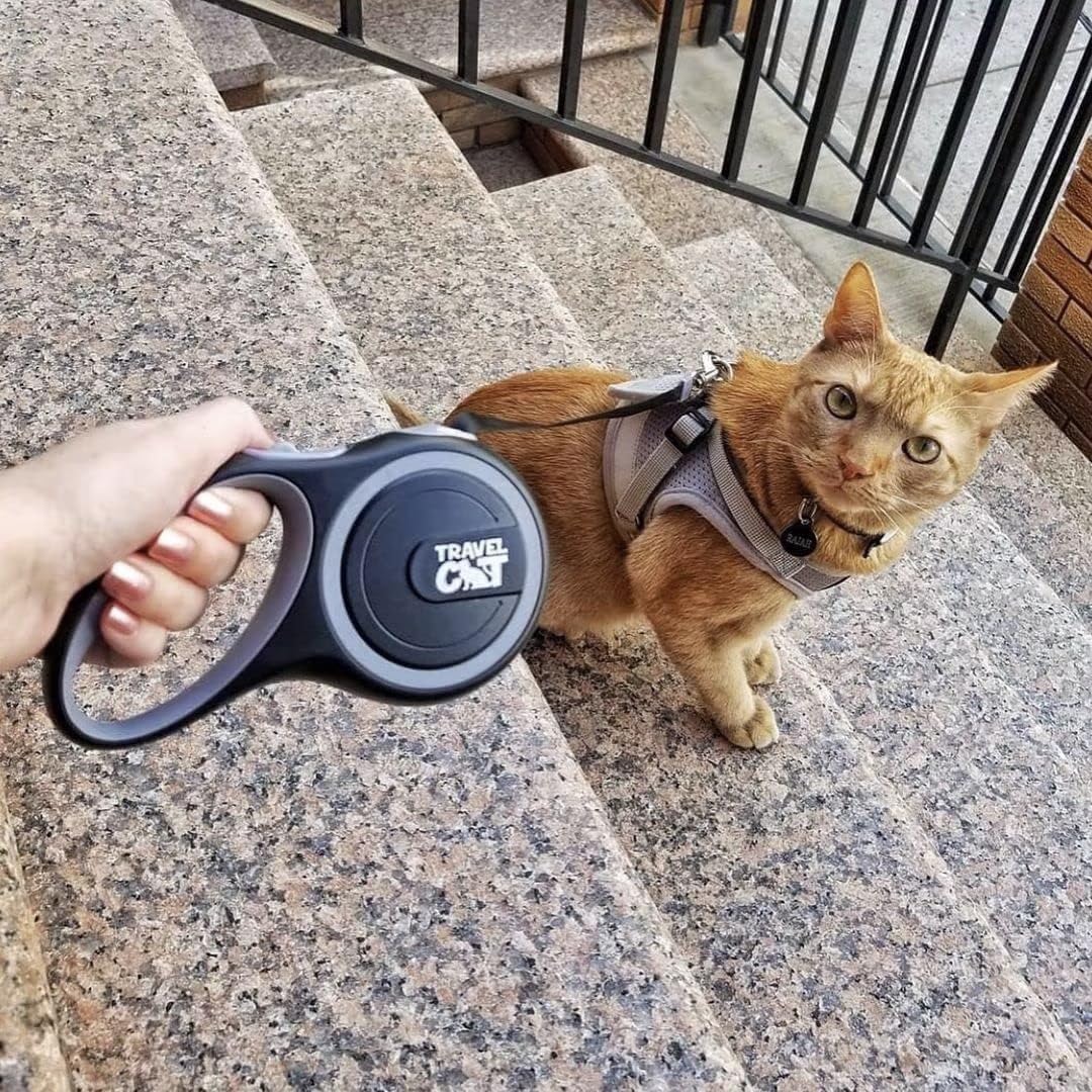 Your Cat Backpack leash with ergonomic grip for a secure, comfortable hold.