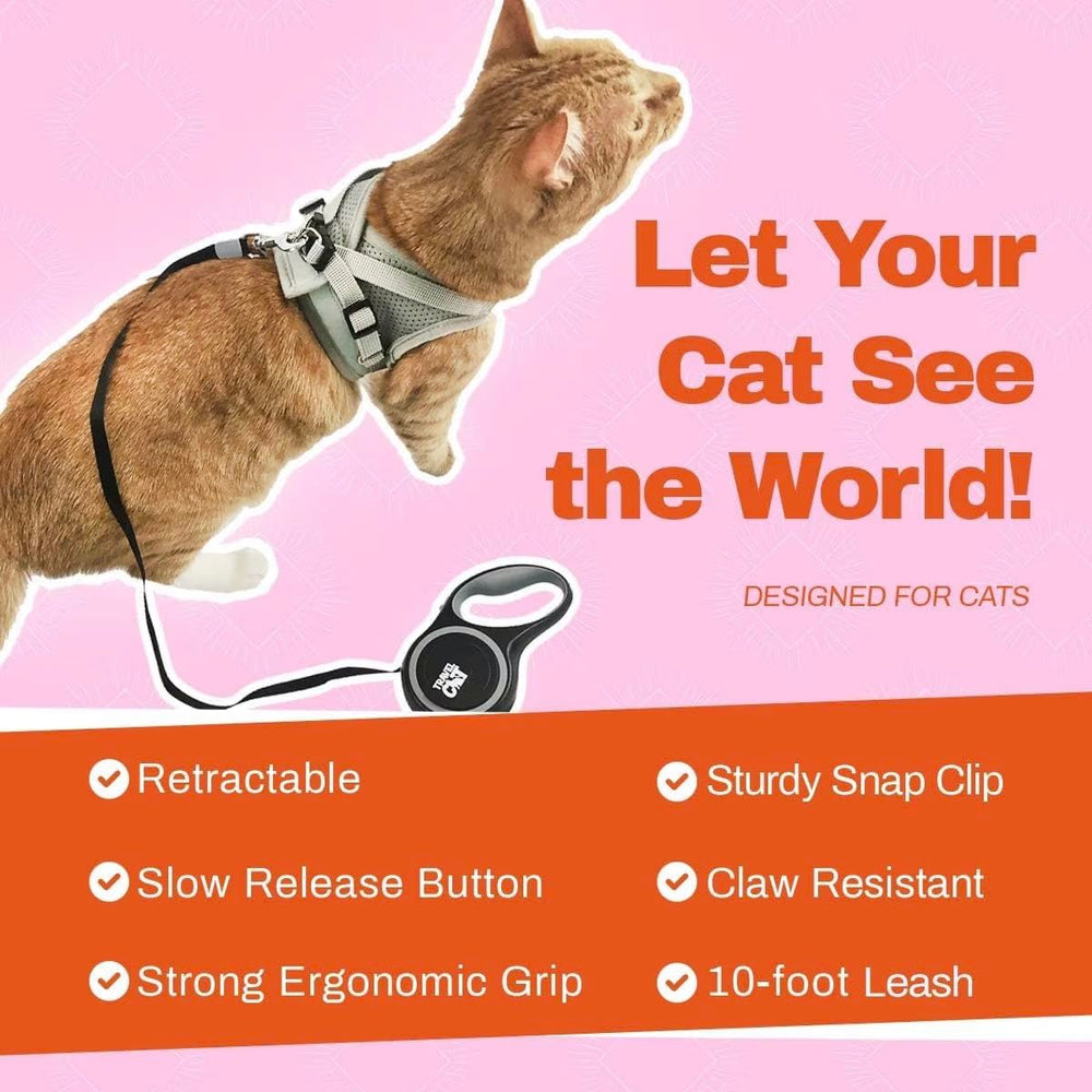 Your Cat Backpack leash in use during a walk, keeping the cat curious yet safe.