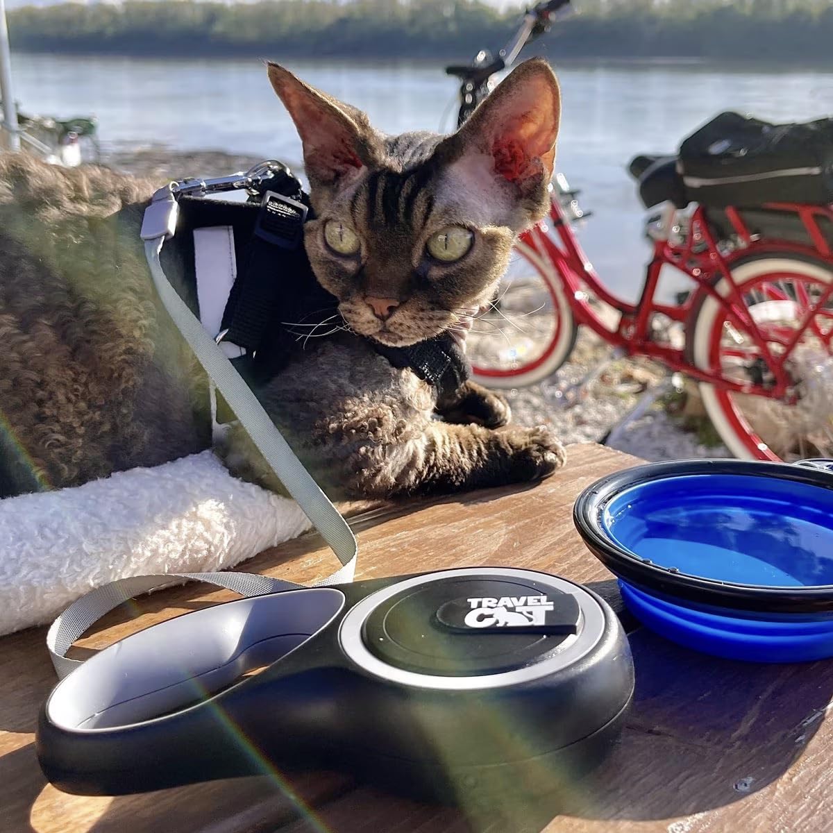 Your Cat Backpack leash with satisfaction guarantee and quick replacement if needed.