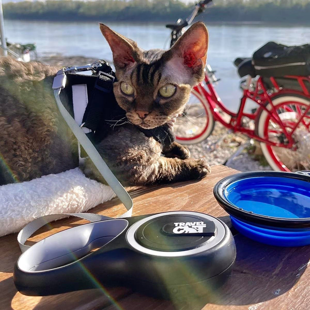 Your Cat Backpack leash with satisfaction guarantee and quick replacement if needed.