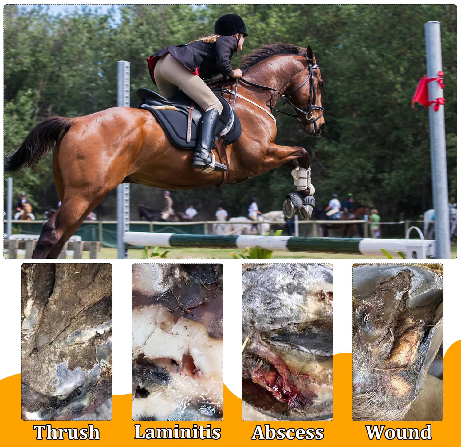 Youven compatible with horse boots for better hoof protection