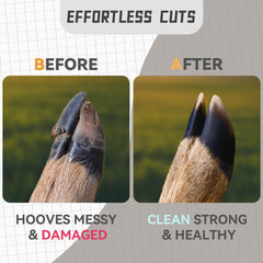 Youven sheep hoof trimmer with safety lock for secure storage