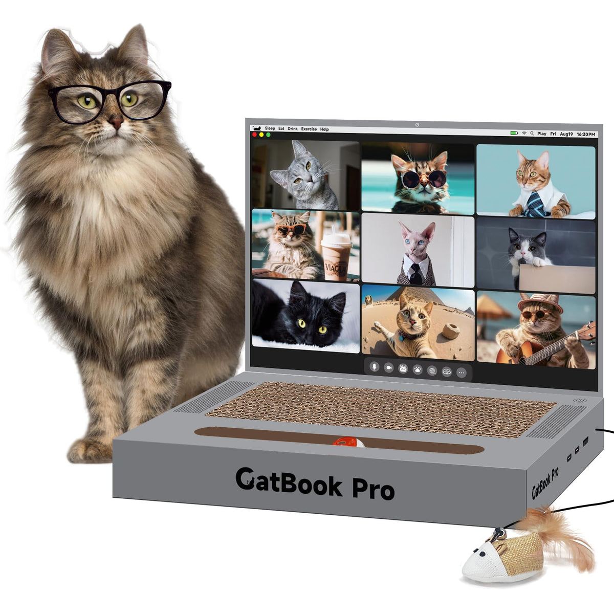 YOUXIFUN cat-scratcher laptop front view invites gentle play and curiosity
