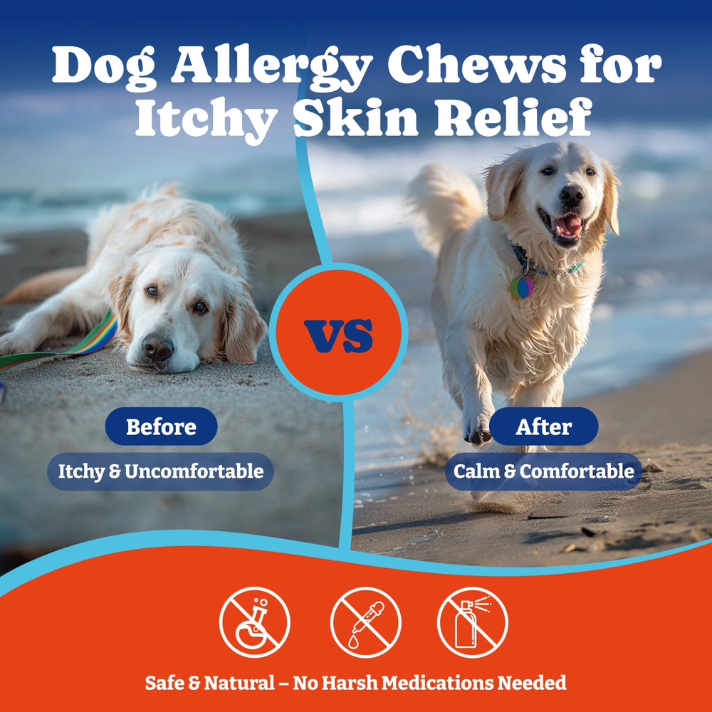 YoYoBay astragalus root chews highlighting a natural option for immunity.