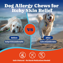YoYoBay astragalus root chews highlighting a natural option for immunity.