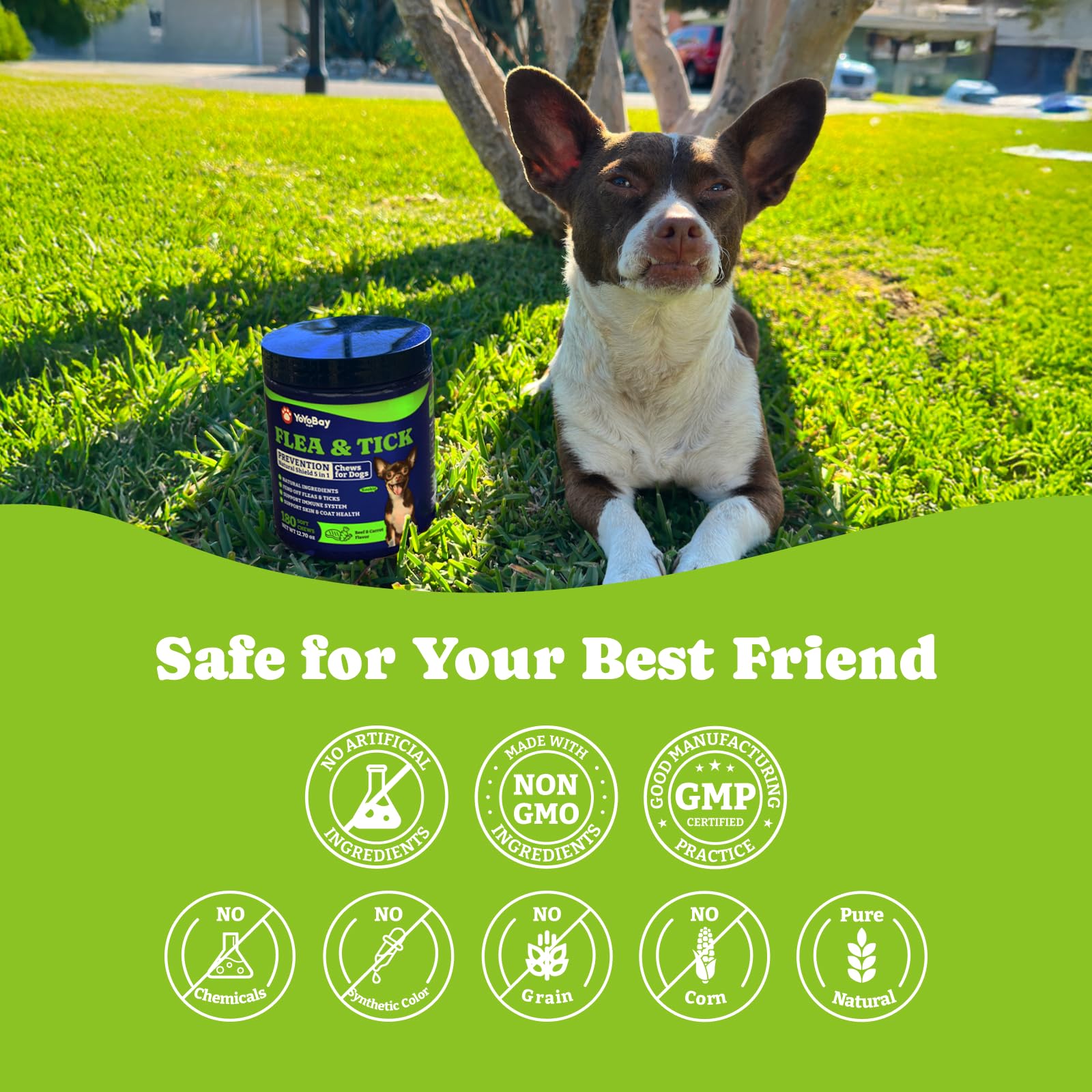 YoYoBay clean ingredients and vet-formulated formula without artificial fillers.