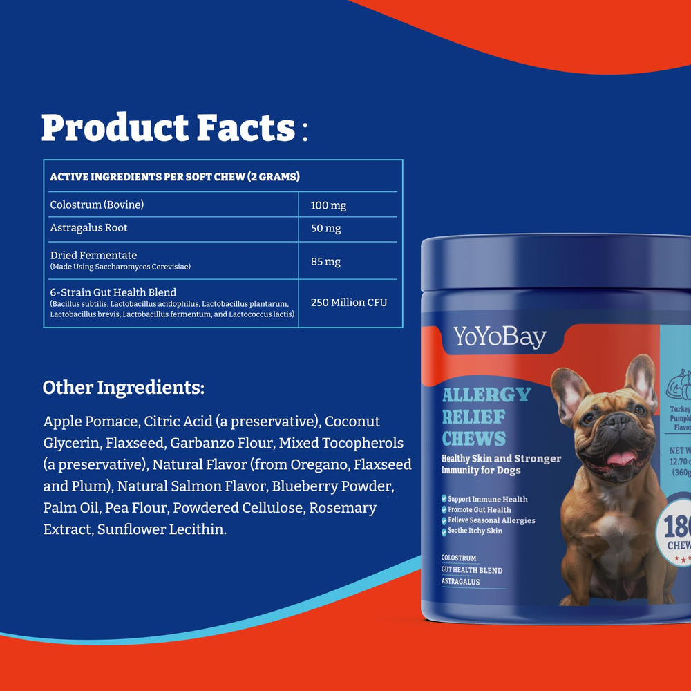 YoYoBay coat health support from flavorful chews improving skin vitality.
