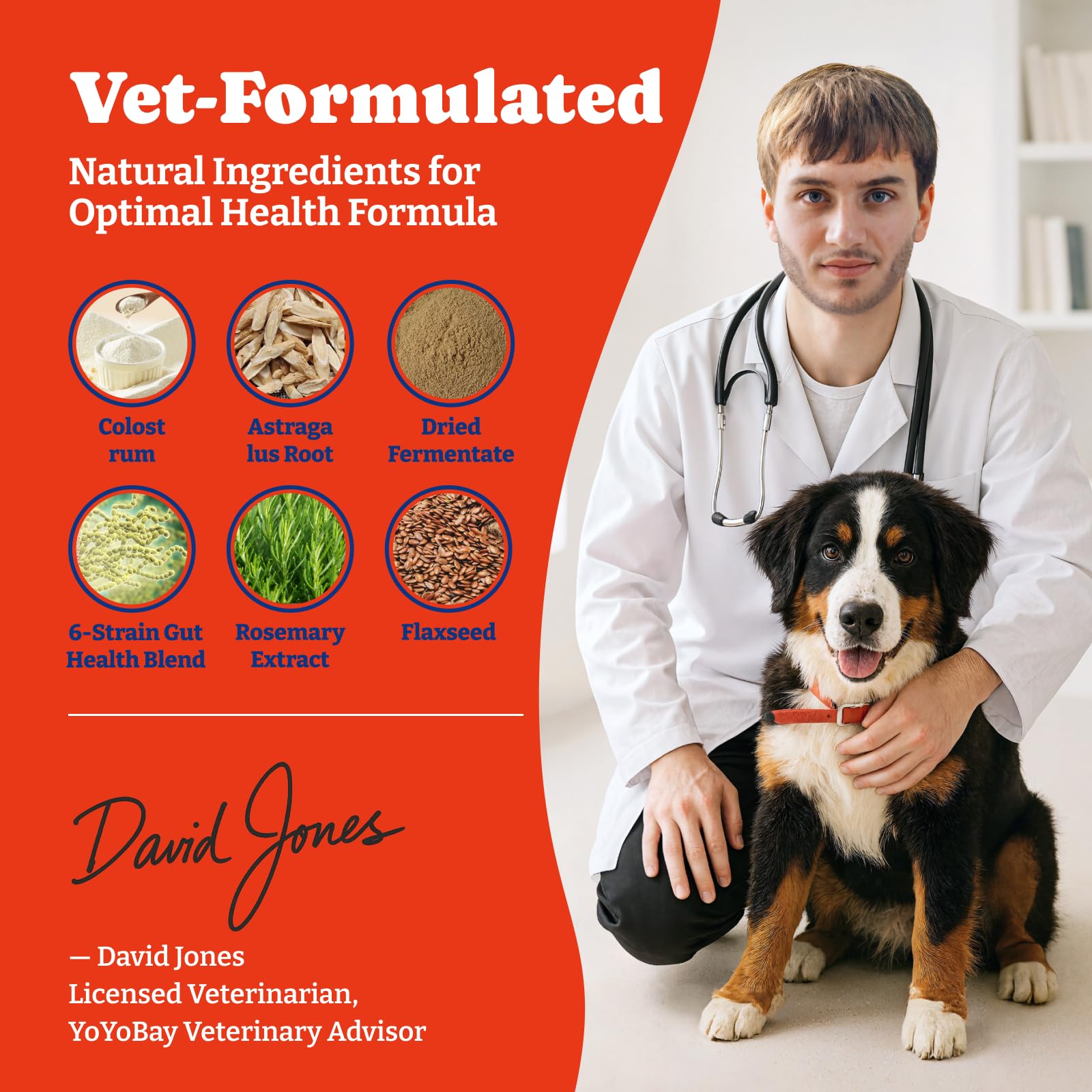 YoYoBay colostrum astragalus boost natural immune support for dogs