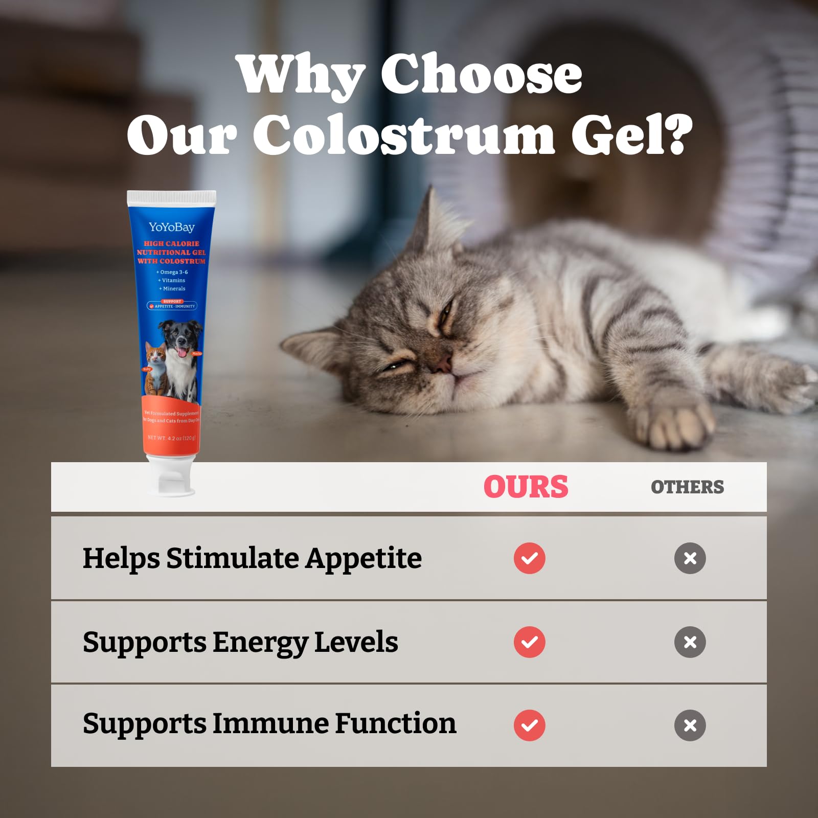 YoYoBay Colostrum Gel being applied to an older dog.