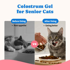 YoYoBay Colostrum Gel bottle open for precise dosing.