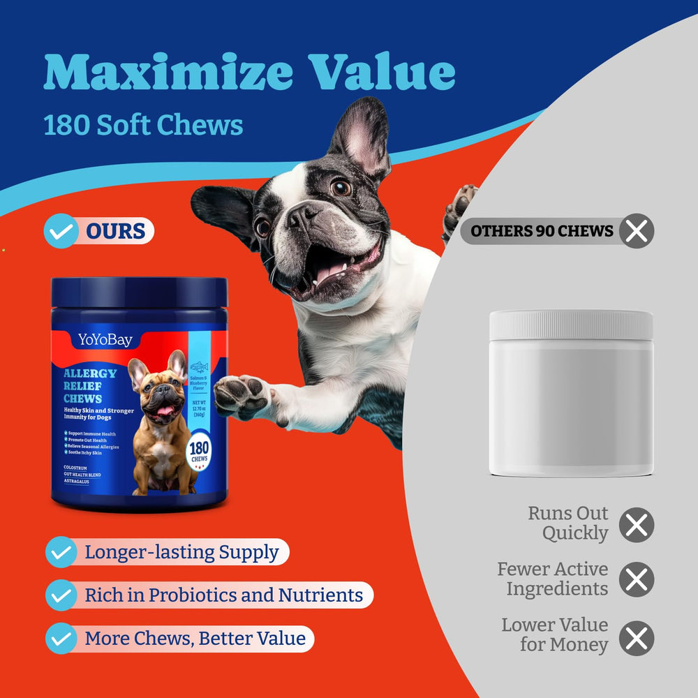 YoYoBay digestive friendly chews supporting digestion alongside allergy relief.