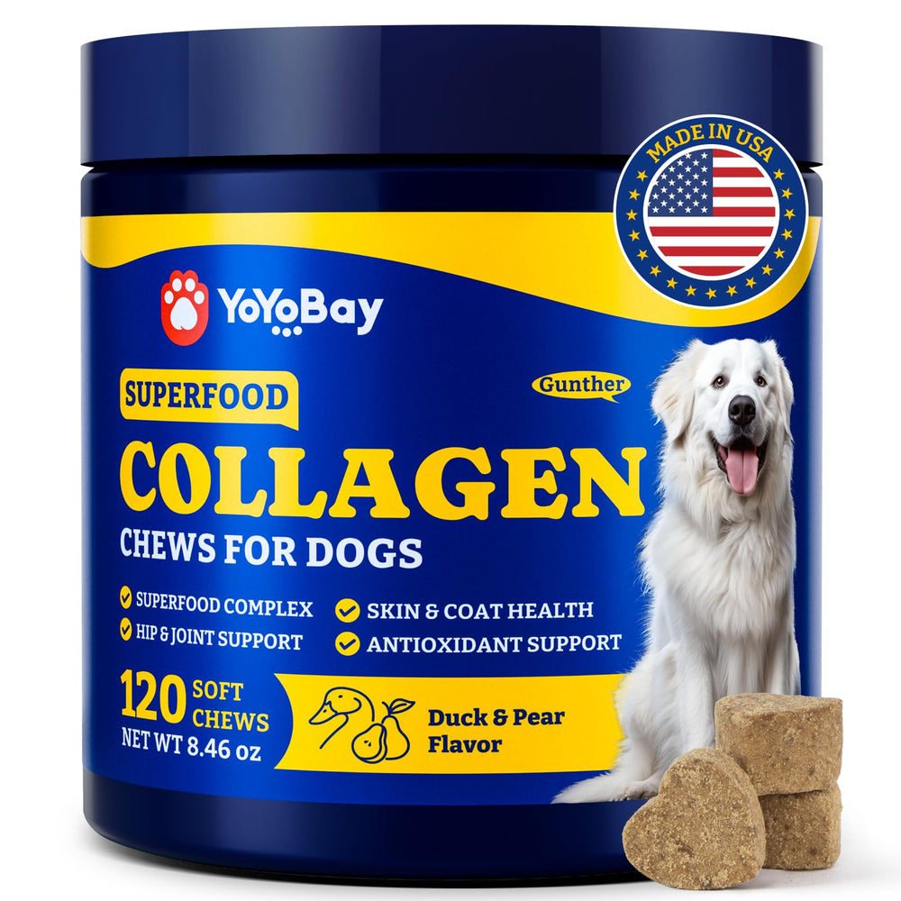 YoYoBay dog collagen soft chews bottle front promotes joint support and skin health