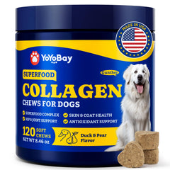 YoYoBay dog collagen soft chews bottle front promotes joint support and skin health