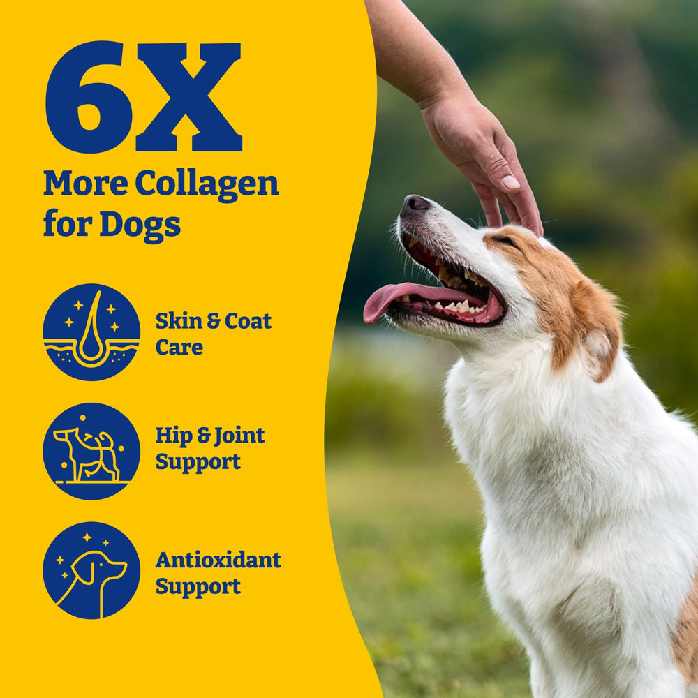 YoYoBay collagen soft chews packaging highlights ingredients for dogs