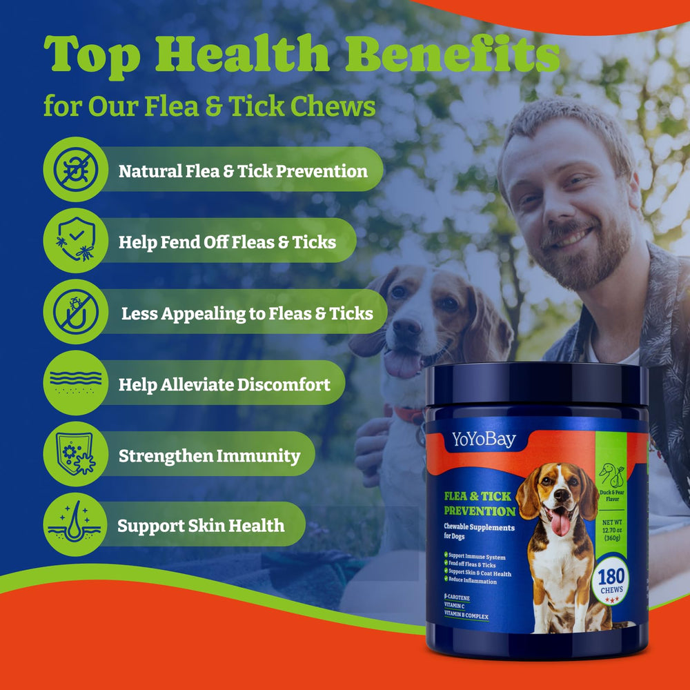 YoYoBay dog eating chew demonstrates a palatable supplement for daily care.