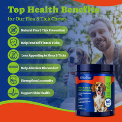 YoYoBay dog eating chew demonstrates a palatable supplement for daily care.